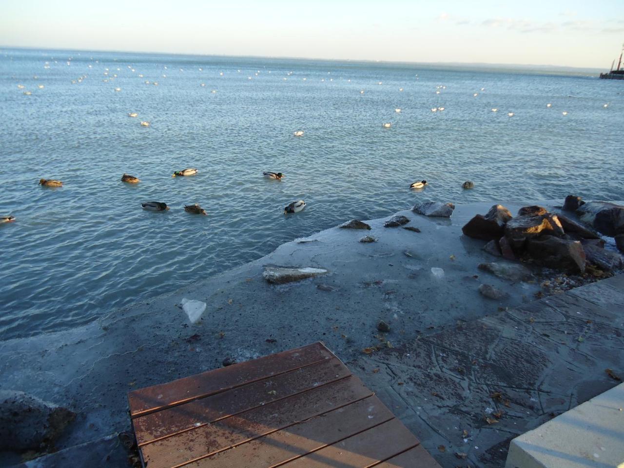 Kek Laguna Vendeghaz Balatonfured Luaran gambar