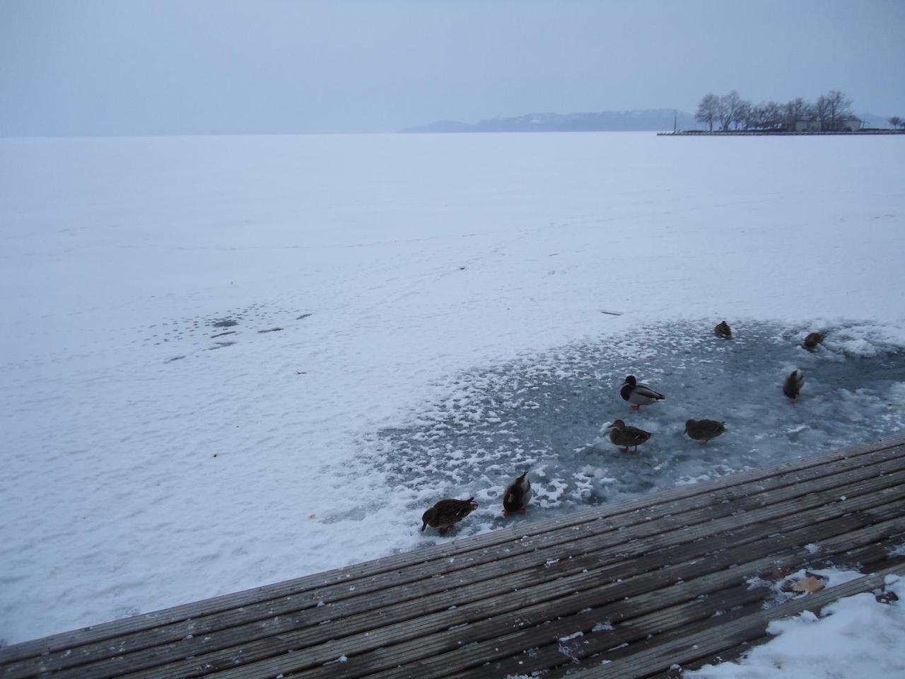 Kek Laguna Vendeghaz Balatonfured Luaran gambar